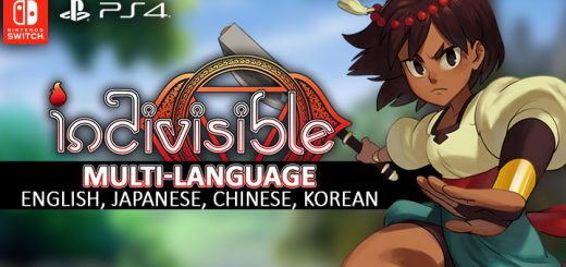 Indivisible, Multi-language, English, PlayStation 4, Nintendo Switch, PS4, Switch, Asia, Pre-order, H2 Interactive